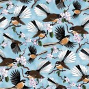 Native Treasures Col. 101 Fantail - Due May/June